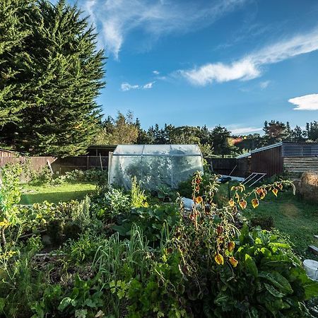 Mount Thomas Road B&B Rangiora Eksteriør bilde