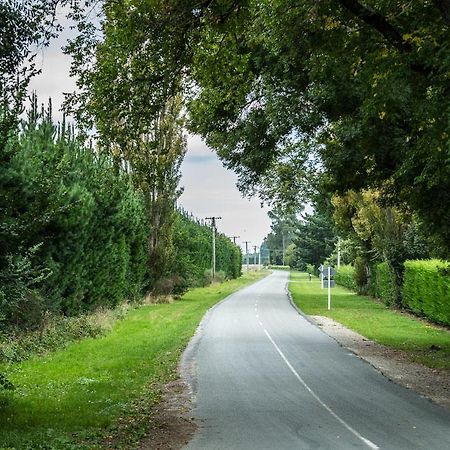 Mount Thomas Road B&B Rangiora Eksteriør bilde