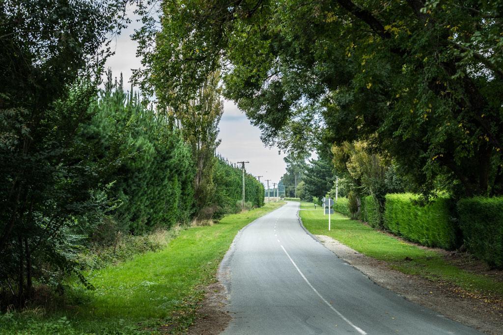 Mount Thomas Road B&B Rangiora Eksteriør bilde